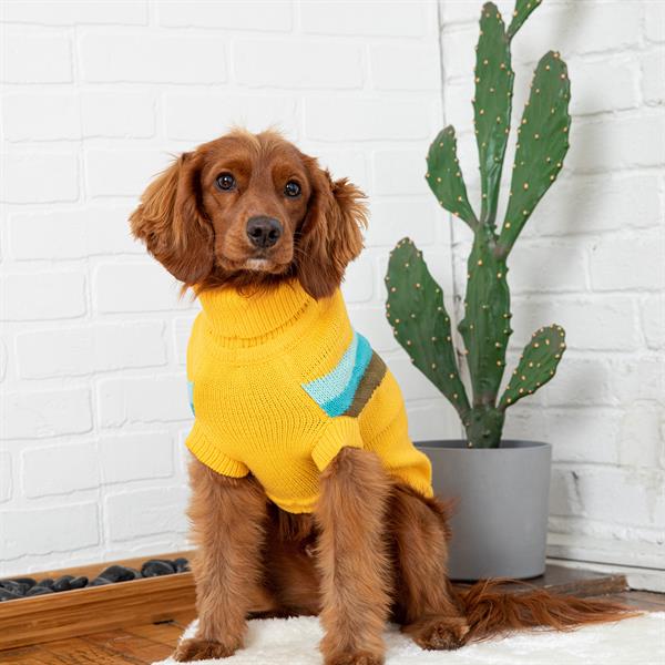 GF PET Alpine Köpek Süveteri - Sarı - Köpek Kıyafetleri