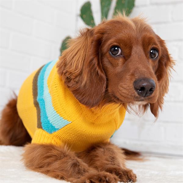 GF PET Alpine Köpek Süveteri - Sarı - Köpek Kıyafetleri