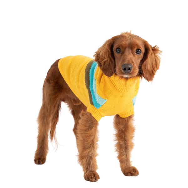 GF PET Alpine Köpek Süveteri - Sarı - Köpek Kıyafetleri