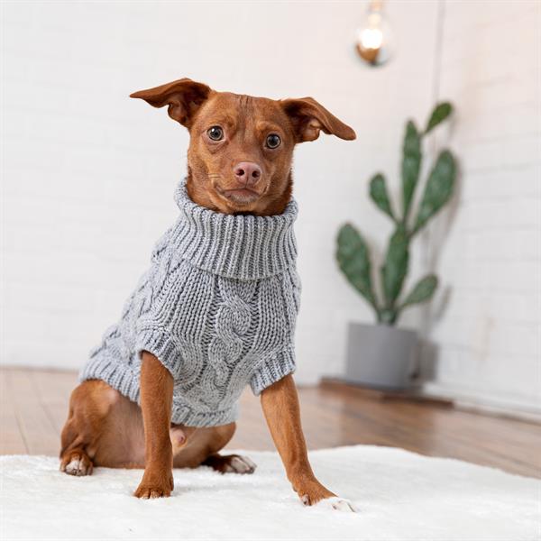 GF PET Chalet Köpek Süveteri - Gri - Köpek Kıyafetleri