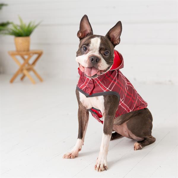 GF PET Çift Taraflı Köpek Yağmurluğu - Kırmızı - Köpek Kıyafetleri