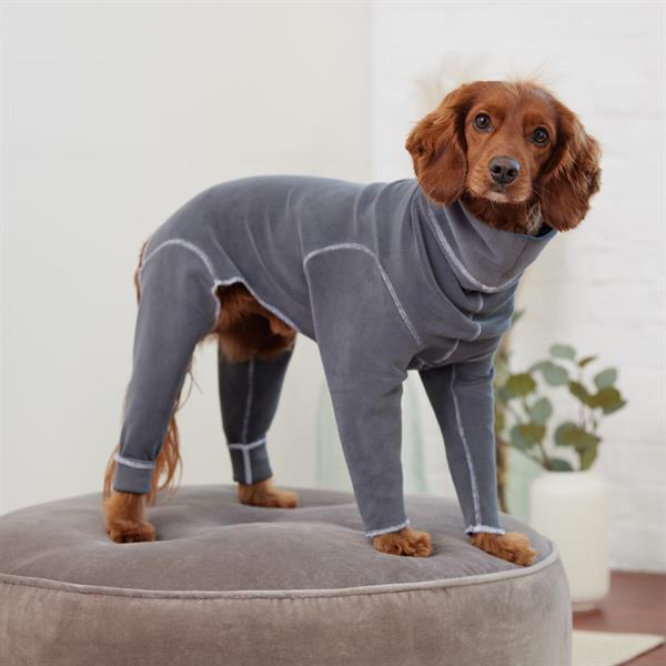 GF PET Gondola Köpek Tulumu - Köpek Kıyafetleri