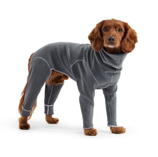 GF PET Gondola Köpek Tulumu - Köpek Kıyafetleri