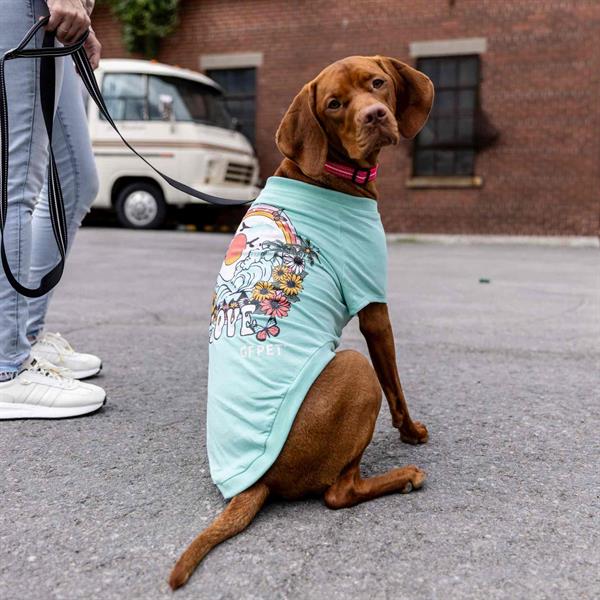GF Pet Graphic Tee Köpek Tshirt - Aqua - Köpek Kıyafetleri