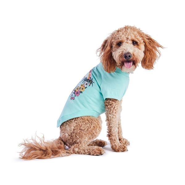 GF Pet Graphic Tee Köpek Tshirt - Aqua - Köpek Kıyafetleri