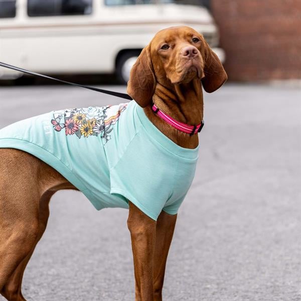 GF Pet Graphic Tee Köpek Tshirt - Aqua - Köpek Kıyafetleri