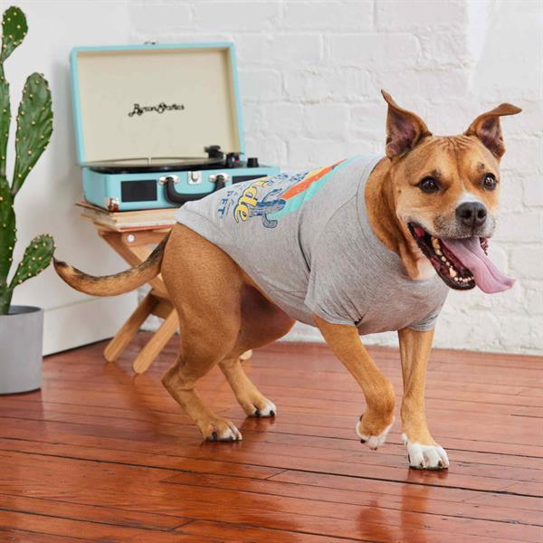 GF Pet Graphic Tee Köpek Tshirt - Gri - Köpek Kıyafetleri
