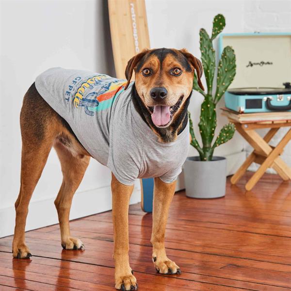GF Pet Graphic Tee Köpek Tshirt - Gri - Köpek Kıyafetleri