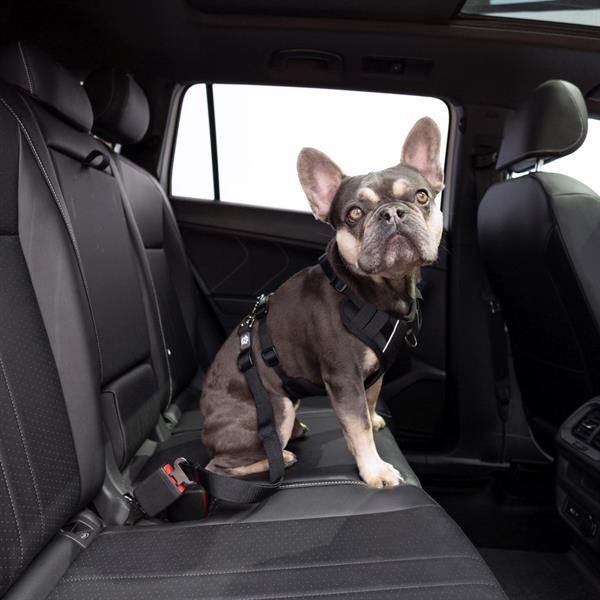 GF Pet Köpek Emniyet Kemeri - Köpek Seyahat Ürünleri
