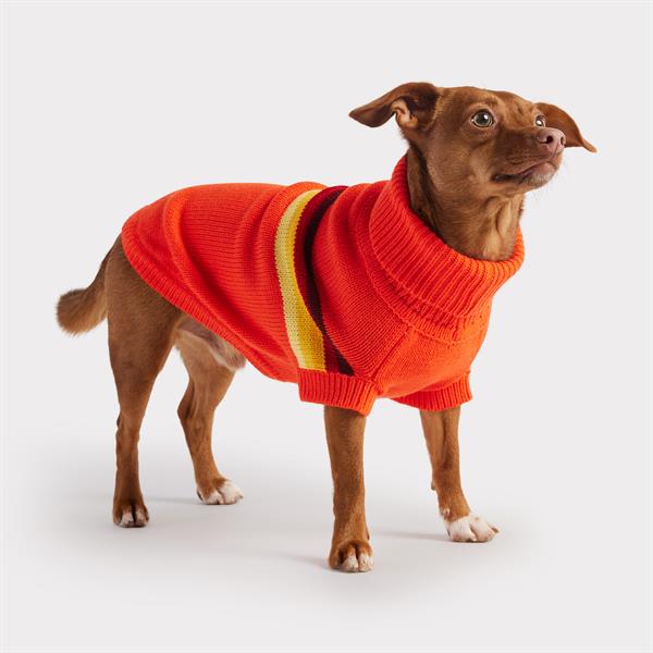 GF PET Retro Köpek Süveteri - Turuncu - Köpek Kıyafetleri