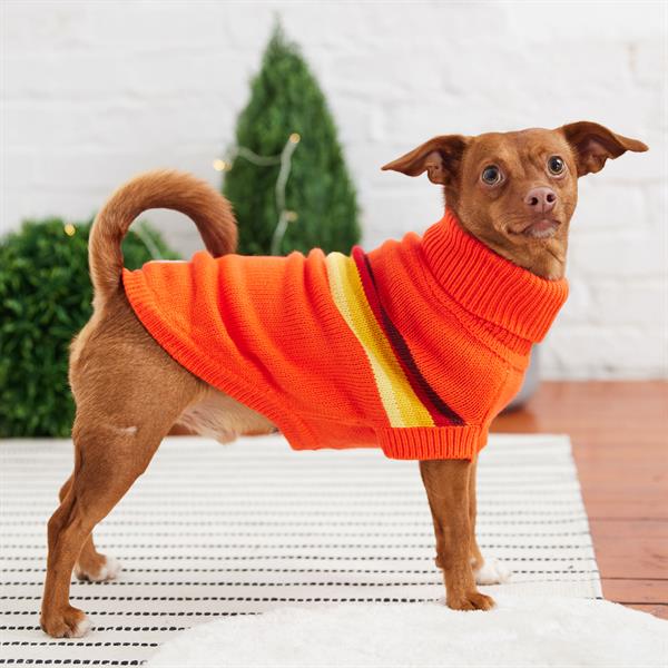 GF PET Retro Köpek Süveteri - Turuncu - Köpek Kıyafetleri
