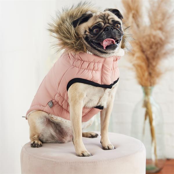 GF PET Urban Parka Köpek Montu - Pembe - Köpek Kıyafetleri