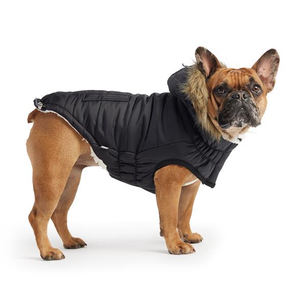 GF PET Urban Parka Köpek Montu - Siyah - Köpek Kıyafetleri