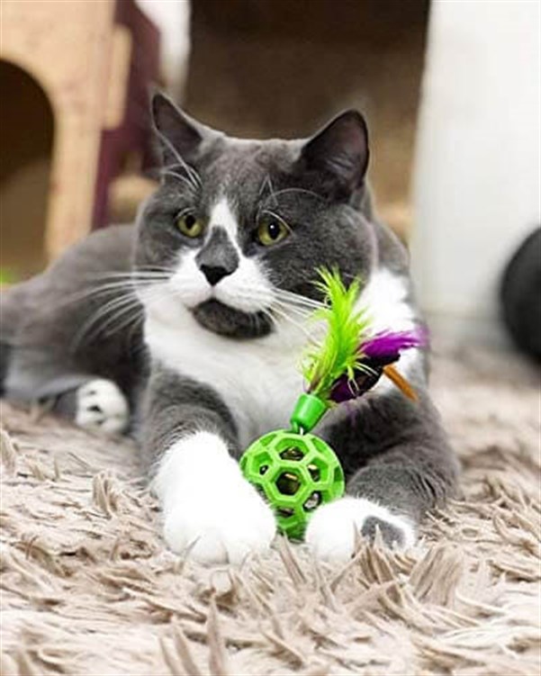JW Cataction Tüylü ve Zilli Kedi Oyun Topu