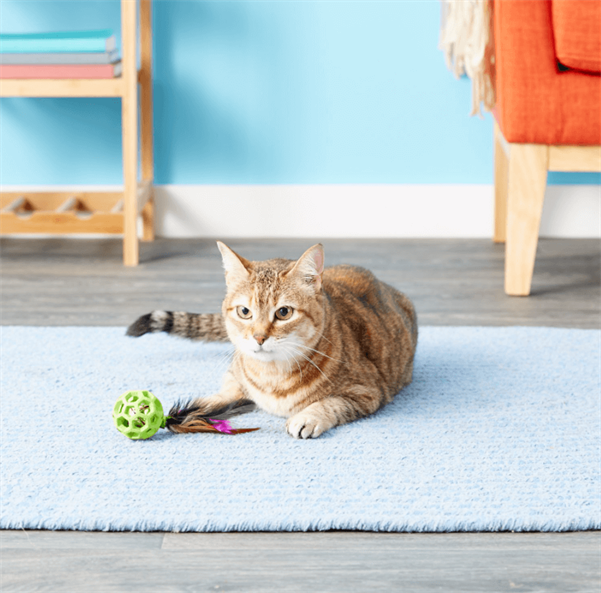 JW Cataction Tüylü ve Zilli Kedi Oyun Topu