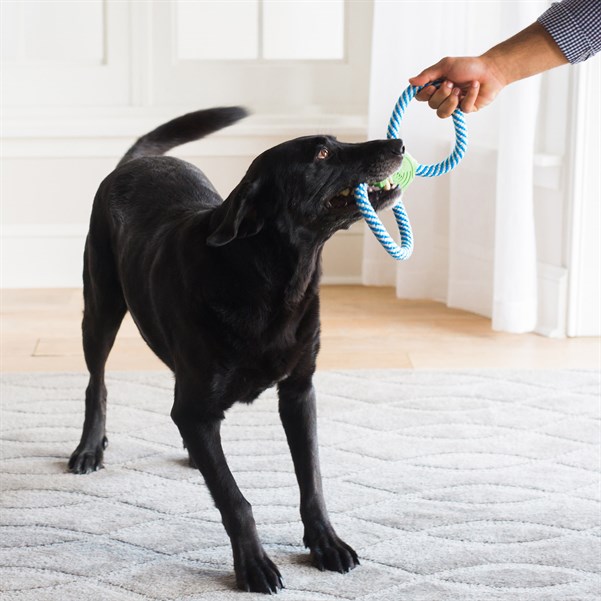 JW Giggle Tug Sesli Köpek Çekiştirme Halatı - Diş İpleri