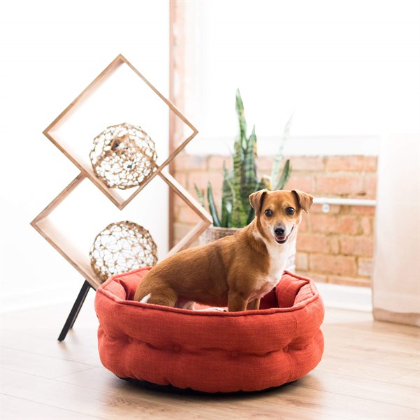 La-Z-Boy Cuddler Yatak (56 x 56cm) - Köpek Yatakları