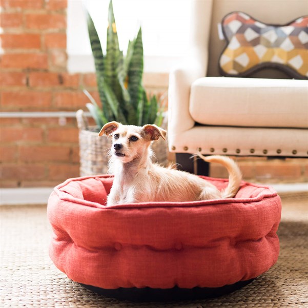 La-Z-Boy Cuddler Yatak (56 x 56cm) - Köpek Yatakları