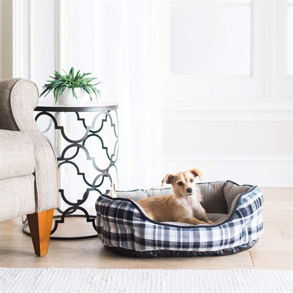 La-Z-Boy Daisy Cuddler Yatak (61 x 48cm) - Köpek Yatakları