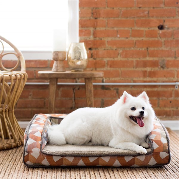 La-Z-Boy Riley Ortopedik Yatak (74 x 51cm) - Köpek Yatakları