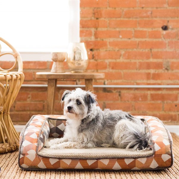 La-Z-Boy Riley Ortopedik Yatak (74 x 51cm) - Köpek Yatakları