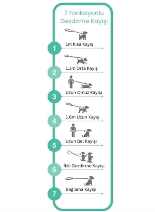 Matrix 2.0 Çok Fonksiyonlu Köpek Gezdirme Kayışı - Jade (S) - Gezdirme Kayışları