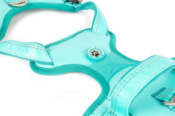 Matrix 2.0 Akıllı Künyeli Sport Köpek Göğüs Tasması - Turquoise (XS) - Göğüs Tasmaları