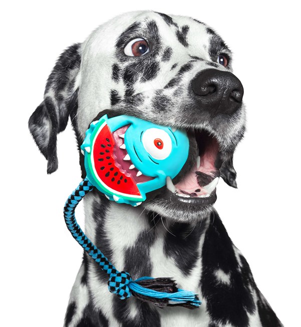 Max & Molly Snuggles Toy Bubba King - Köpek Oyuncakları