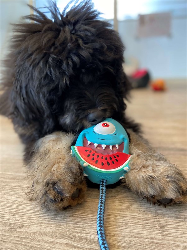 Max & Molly Snuggles Toy Bubba King - Köpek Oyuncakları