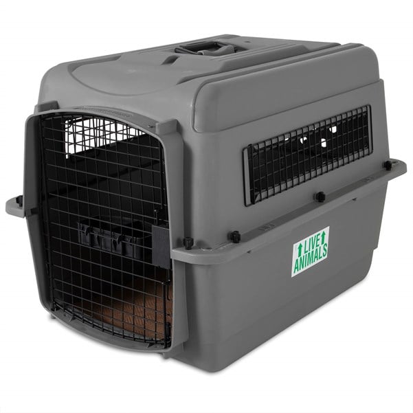 Petmate Sky Kennel Taşıma Kafesi (72 x 52 x 55cm) - Köpek Taşıma ve Kafesleri