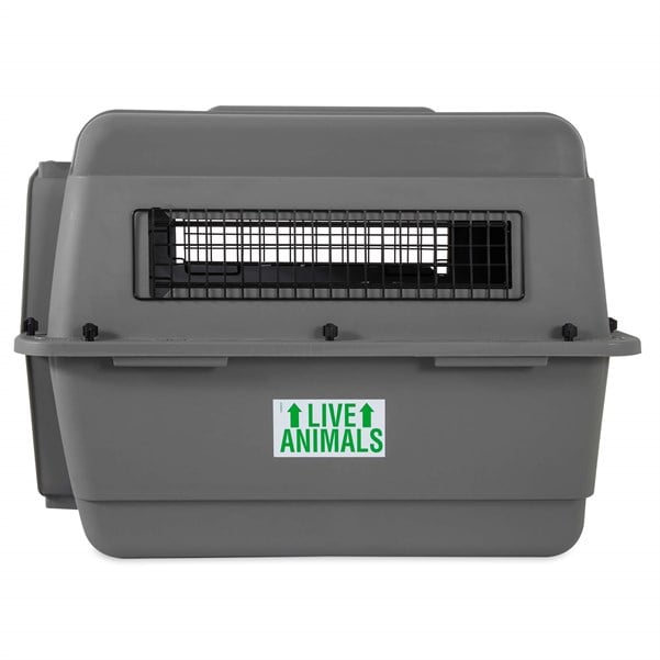 Petmate Sky Kennel Taşıma Kafesi (72 x 52 x 55cm) - Köpek Taşıma ve Kafesleri