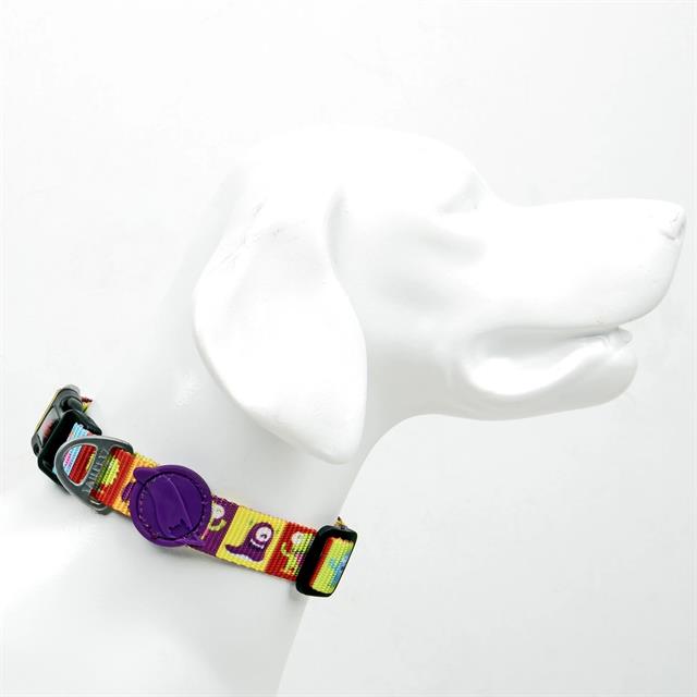 Tailpetz Alliens Collar