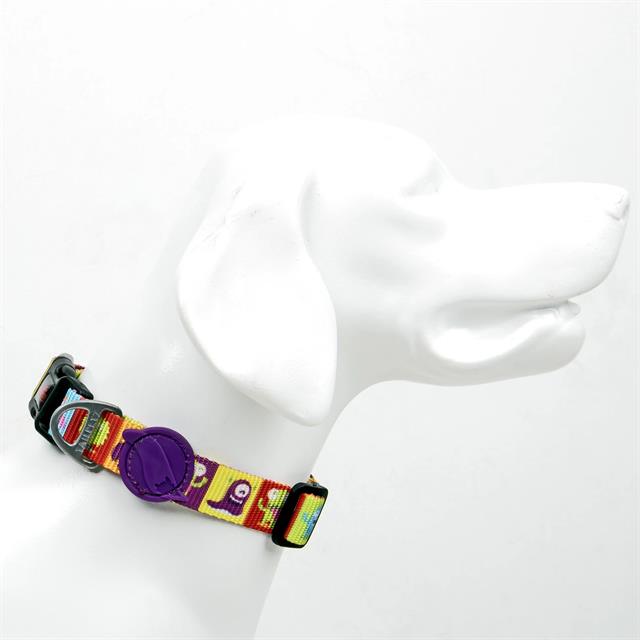 Tailpetz Alliens Collar