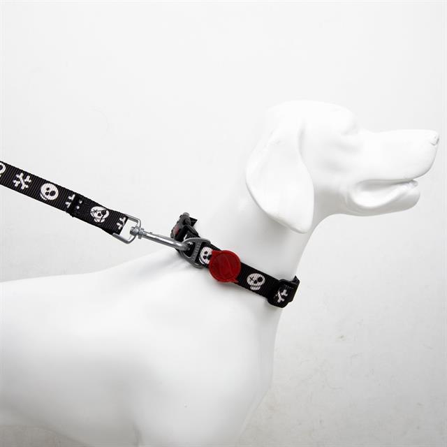 Tailpetz Köpek Boyun Tasmaları