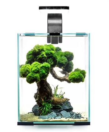 Aquael Shrimp Set Smart D&N 20 Siyah