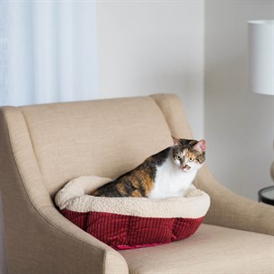 Aspen Pet Isıtmalı Kedi Yatağı (50 x 50cm) - Kedi Yatakları