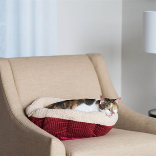 Aspen Pet Isıtmalı Kedi Yatağı (50 x 50cm) - Kedi Yatakları