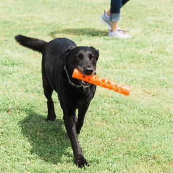 Chuckit! Air Fetch Stick Köpek Oyuncağı (Büyük Boy) - Oyun Topları ve Frizbiler