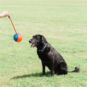 Chuckit! Rope Fetch İpli Oyun Topu - Köpek Oyuncakları