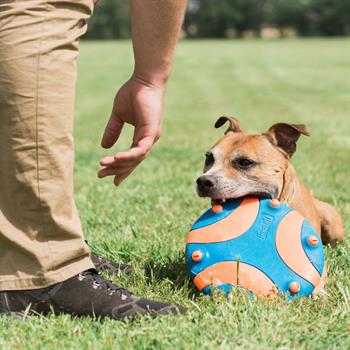 Chuckit! Whistle Flight Sesli Frizbi - Oyun Topları ve Frizbiler