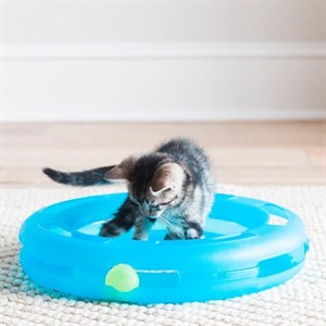 Fat Cat Crazy Circle Kedi Oyuncağı