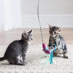 Fat Cat Worm Kedi Oltası - Kedi Oyuncakları