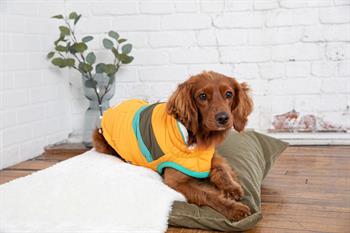 GF PET Alpine Puffer Köpek Montu - Sarı - Köpek Kıyafetleri