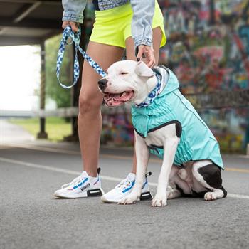 GF PET Çift Taraflı Köpek Yağmurluğu - Aqua - Köpek Kıyafetleri