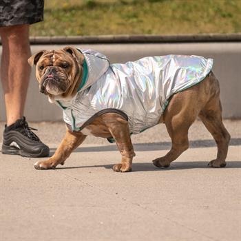 GF PET Çift Taraflı Köpek Yağmurluğu - Aqua - Köpek Kıyafetleri