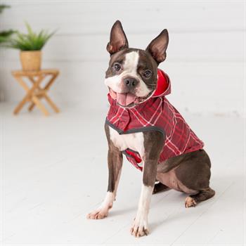 GF PET Çift Taraflı Köpek Yağmurluğu - Kırmızı - Köpek Kıyafetleri