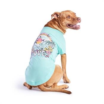 GF Pet Graphic Tee Köpek Tshirt - Aqua - Köpek Kıyafetleri