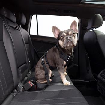 GF Pet Köpek Emniyet Kemeri - Köpek Seyahat Ürünleri