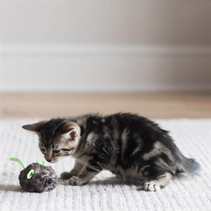 Jackson Galaxy Kedi Otlu Hareketli Fare - Toplar ve Fareler