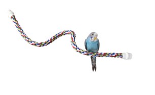 JW Comfy Esnek Kuş Tüneği (36cm) - Kuş Oyuncakları